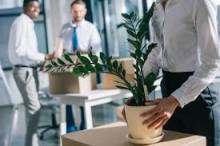 Notre zone d'activité pour ce service Devis pour réaliser un déménagement avec formule complète comprenant emballage et garde-meubles sous surveillance situé à